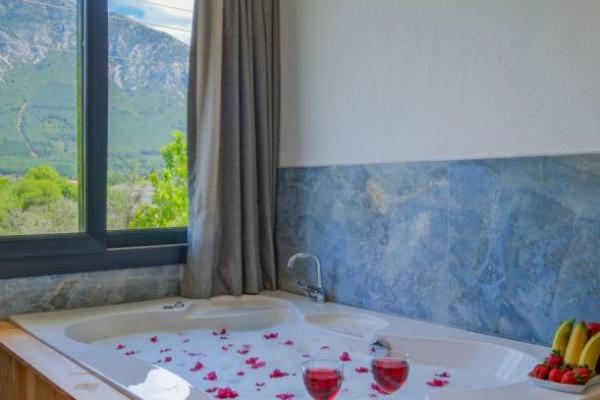 Infinity Olive Villa