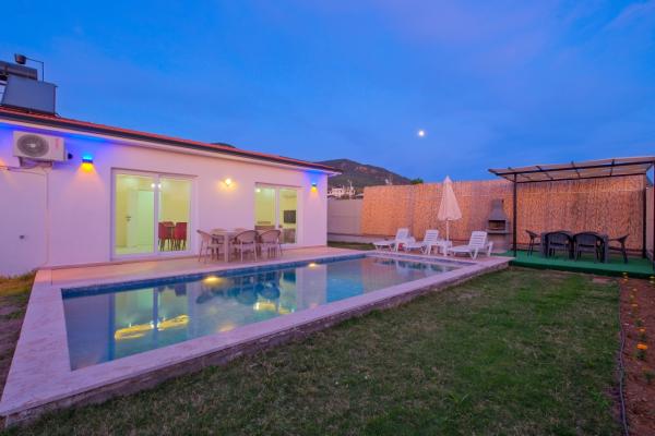 villa lion 2